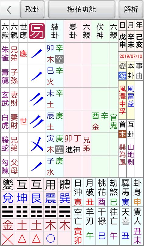 星僑 八字|NCC